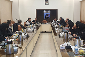 نشست برخط «بررسی ایمنی کالبدی کلانشهر تهران» برگزار شد